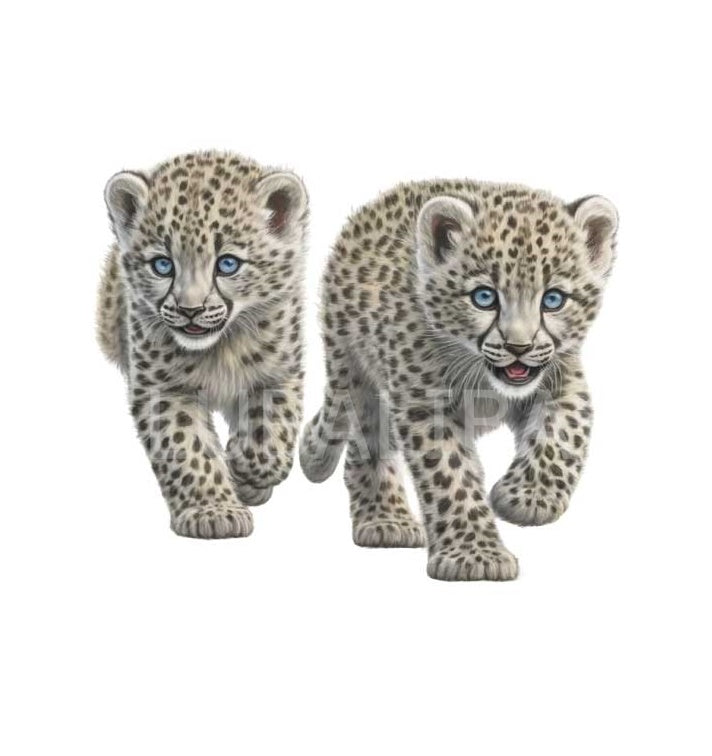 Motiv "Leopard " ArtNr.: EA