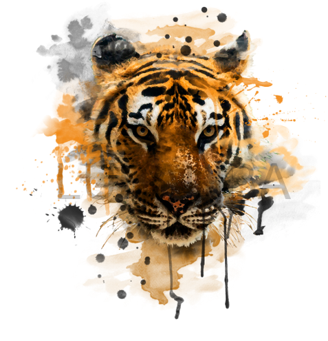 Motiv "TIGER STYLE BOOMLI" ArtNr.: HT