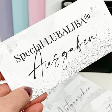 Budget/Business Planner en 6 couleurs